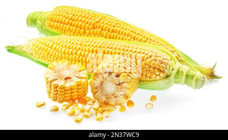 Maize cobs or corn cobs isolated on white background. Stock Photo