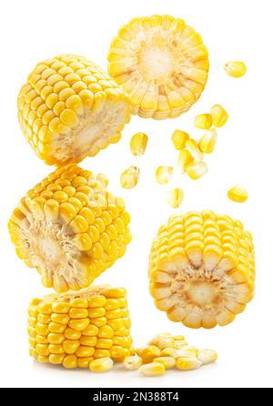 Piece of maize cob or corn cob and corn seeds flying in air isolated on white background. Stock Photo