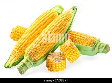 Maize cobs or corn cobs isolated on white background. Stock Photo
