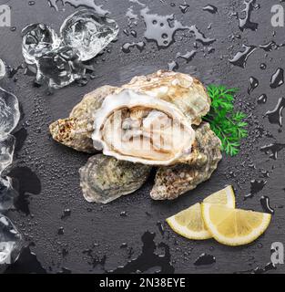 Opened fresh oysters on natural stone black slate plate with lemon slices. Flat lay. Stock Photo