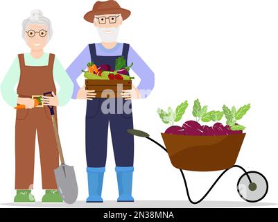 Grandparents in the autumn garden. Harvest. Stock Vector