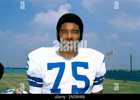 Larry Brown, running back for the Washington Redskins, is shown in 1973.  (AP Photo Stock Photo - Alamy