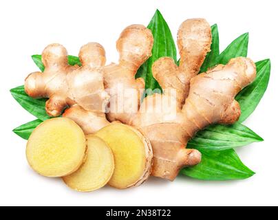 Ginger root and round slices of ginger root on green leaves isolated on white background. Stock Photo