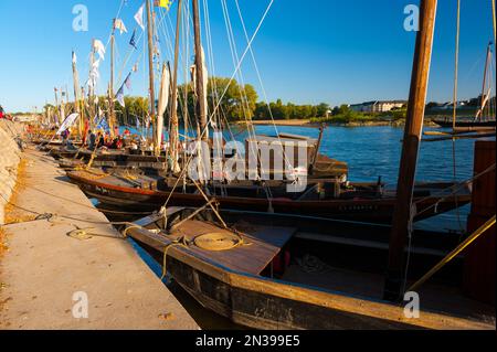 France, Loiret (45), Orléans, Loire Festival 2019, traditional flat-bottomed boats moored on the banks of the Loire Stock Photo