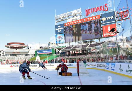 Photo: Ovechkin Celebrates With Goalie Varlamov at NHL Winter Classic in  Pittsburgh - PIT2011010107 