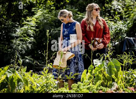 PHILIPSBURG - Queen Maxima and Princess Amalia during a visit to a school garden program in Sint Maarten. Crown Princess Amalia has a two-week introduction to the countries of Aruba, Curacao and Sint Maarten and the islands that form the Caribbean Netherlands: Bonaire, Sint Eustatius and Saba. ANP REMKO DE WAAL netherlands out - belgium out Stock Photo