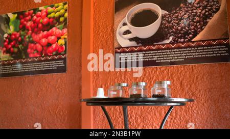 Kenya is a major producer and supplier of coffee - Fairview Estate coffee farm in Kimbu, Nairobi KE Stock Photo