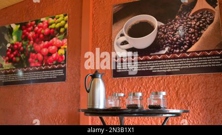 Kenya is a major producer and supplier of coffee - Fairview Estate coffee farm in Kimbu, Nairobi KE Stock Photo