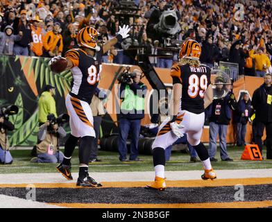 Cincinnati Bengals fan gets Jermaine Gresham TD ball stolen from