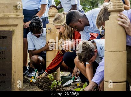 PHILIPSBURG - Princess Amalia plants a yellow sage during a visit to a school gardening program in Sint Maarten. Crown Princess Amalia has a two-week introduction to the countries of Aruba, Curacao and Sint Maarten and the islands that form the Caribbean Netherlands: Bonaire, Sint Eustatius and Saba. ANP REMKO DE WAAL netherlands out - belgium out Stock Photo