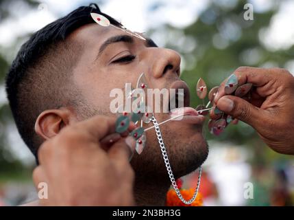 Durban, South Africa. 04th Feb, 2023. A Hindu devotee from Havenside Grammadave Alayam temple, is having his tongue pierced during the annual Thaipoosam Kavady festival at Chatsworth, south of Durban, South Africa on February 4, 2023. The practice is part of a purification ritual in honor of a Hindu god, Muruga. (Photo by Mabhuti Msweli/Sipa USA) Credit: Sipa USA/Alamy Live News Stock Photo