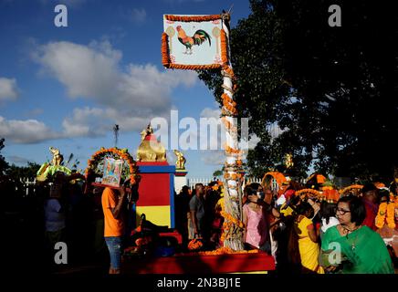 Durban, South Africa. 04th Feb, 2023. A flag bearing an image of a rooster flies up at Grammadave Alayam temple during the annual Thaipoosam Kavady festival in Chatsworth, south of Durban, South Africa on February 4, 2023. The flag flown high symbolises that it is the fasting period and it is lowered once the festival is over. (Photo by Mabhuti Msweli/Sipa USA) Credit: Sipa USA/Alamy Live News Stock Photo