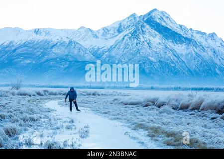 Caucasian man backcountry ice skating, nordic blading, in winter sun on a small creek lined with frost covered grass with Pioneer Peak and the Chug... Stock Photo