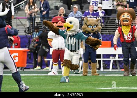 The Philadelphia Eagles mascot Swoop performs during the flag football  event at the NFL Pro Bowl, Sunday, Feb. 5, 2023, in Las Vegas. (AP  Photo/John Locher Stock Photo - Alamy