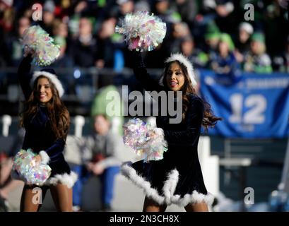 Best of Seattle Seahawks Cheerleaders 2014