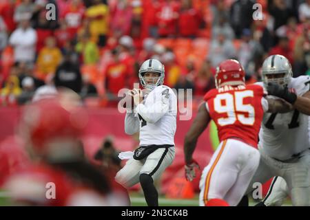 Oakland Raiders guard Austin Howard (77) and San Francisco 49ers outside  linebacker Aaron Lynch (59) during