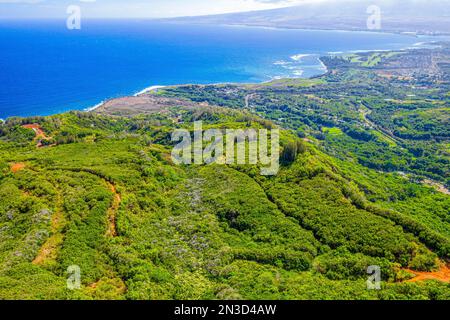 Aerial view of the lush hillside and rugged coastline of Waihee Ridge in the West Maui Mountains; Maui, Hawaii, United States of America Stock Photo