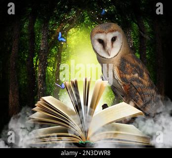 Beautiful wise owl near book in fantasy world Stock Photo