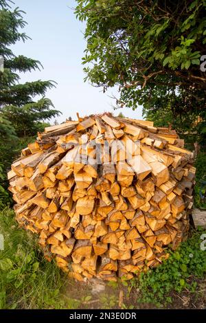 A freshly stacked pile of stove wood sits outside a home in Homer; Homer, Alaska, United States of America Stock Photo