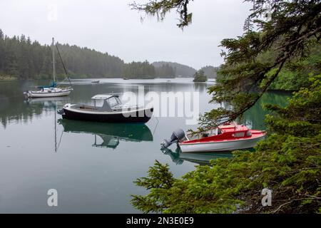 Boats are moored in Little Tutka Bay, across from Homer, on a cloudy day; Homer, Alaska, United States of America Stock Photo
