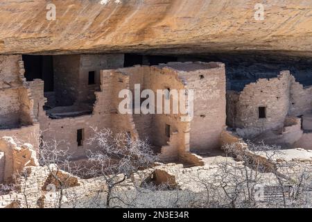 A look into the Spruce Tree House, Cliff Dwellings in the Mesa Verde National Park; Mancos, Colorado, United States of America Stock Photo