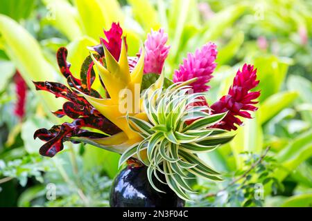 Colorful, tropical flower arrangement in vase with a forest background; Hana, Maui, Hawaii, United States of America Stock Photo