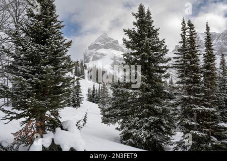 View of the Rocky Mountains from a ski resort in Banff National Park, Alberta, Canada; Improvement District No. 9, Alberta, Canada Stock Photo