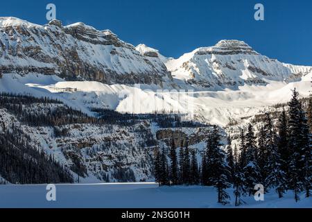Snow-covered mountain at the base of a snow-covered lake with evergreen trees along the shoreline and blue sky in Banff National Park Stock Photo