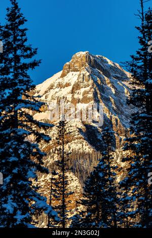 Snow-covered mountain lit with the warm colourful light at sunrise framed by silhouetted evergreen trees and blue sky in Banff National Park Stock Photo