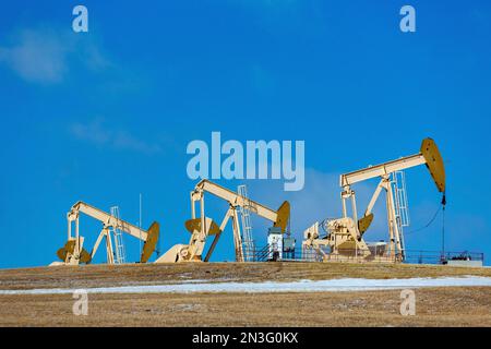 Pumpjacks in a field against a blue sky and a trace of snow, West of Airdrie; Alberta, Canada Stock Photo