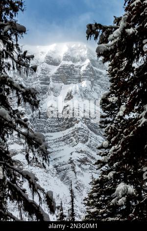 Snow-covered mountain framed by evergreen trees and blue sky with clouds in Banff National Park; Lake Louise, Alberta, Canada Stock Photo