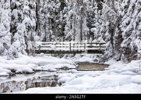 Snow-covered bridge and stream with some open water near Emerald Lake in the winter in the Rocky Mountains of Yoho National Park Stock Photo