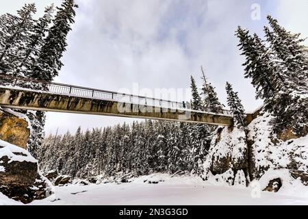 Two mature women using the pedestrian walkway across the Kicking Horse River during winter near the Natural Bridge in Yoho National Park Stock Photo