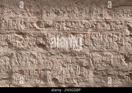 Texture of South Australian limestone, Penola, South Australia Stock Photo