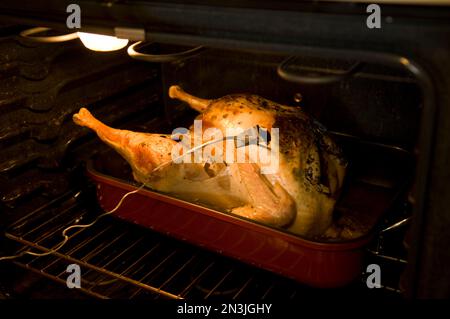 Turkey poultry roast with meat thermometer measuring temperature at  Thanksgiving Stock Photo - Alamy