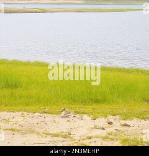 Lanshi park, Jiangmen China Stock Photo