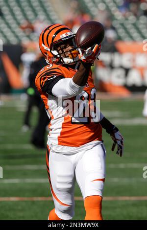 Cincinnati Bengals cornerback Terence Newman (23) walks on the sidelines  during the first half of an