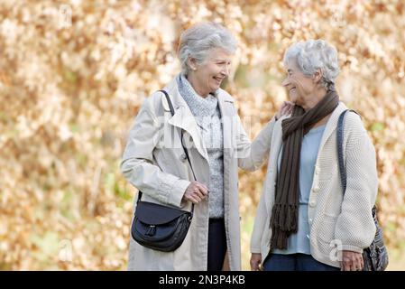 Friendship in their autumn years. Two senior women having a friendly conversation outside with autumn leaves in the background. Stock Photo