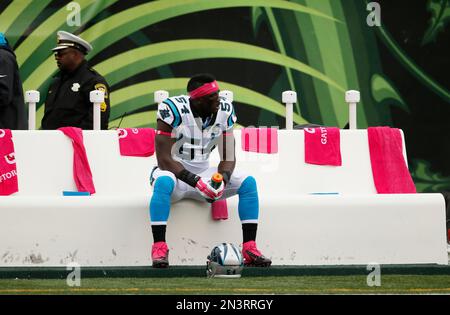 Carolina Panthers linebacker Jason Williams (54) celebrates in