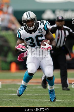 Carolina Panthers Running Back Darrin Reaves (36) Pulls In A Pass ...