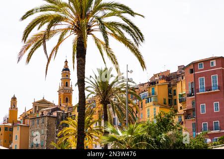 Palm trees on the boulevard in Menton, behind the Basilica Saint Michael Archangel, Menton, Provence-Alpes-Cote dAzur, Southern France Stock Photo