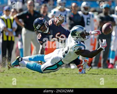 Carolina Panthers' Jason Avant (81) catches a ball during an NFL football  practice at their training camp in Spartanburg, S.C., Monday, July 28,  2014. (AP Photo/Chuck Burton Stock Photo - Alamy