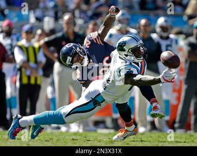 Carolina Panthers' Jason Avant (81) catches a ball during an NFL football  practice at their training camp in Spartanburg, S.C., Monday, July 28,  2014. (AP Photo/Chuck Burton Stock Photo - Alamy