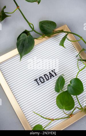 Today, the word written on a letter board with golden frame on grey Stock Photo