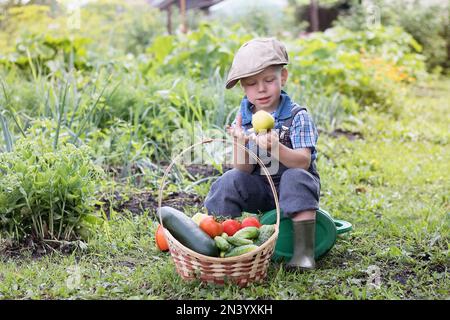 Little farm boy in the garden with a basket of vegetables. A small child sitting in the garden sitting on a watering can on a beautiful Sunny day. Boy Stock Photo
