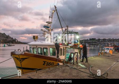 Crosshaven, Cork, Ireland. 08th February, 2023. Crew of the fishing boat Celtic Sun tie up their boat after landing with a catch of Hake at Crosshaven, Co. Cork, Ireland. - Credit; David Creedon / Alamy Live News Stock Photo