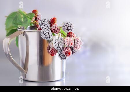 Blackberries in the snow. Delicious frozen blackberries in a metal mug. Background of BlackBerry, close-up. Copy space. Stock Photo