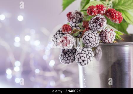 Blackberries in the snow. Delicious frozen blackberries in a metal mug. Background of BlackBerry, close-up. Copy space. Stock Photo