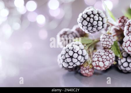 Blackberries in the snow. Bouquet of delicious frozen BlackBerry close-up. Background of BlackBerry, close-up. Copy space. Stock Photo