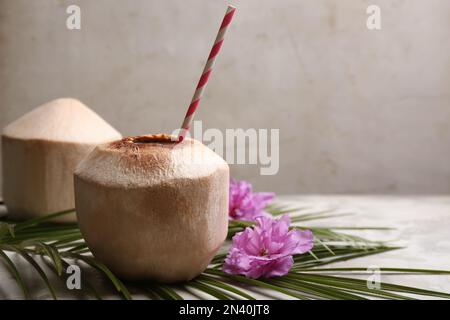 Young peeled coconuts with straw, palm leaf and beautiful flowers on grey table. Space for text Stock Photo